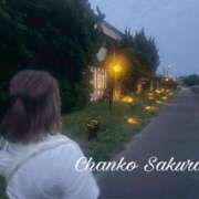 ヒメ日記 2025/12/15 07:15 投稿 さくら 京都祇園・南インターちゃんこ