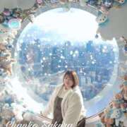 ヒメ日記 2025/12/15 11:45 投稿 さくら 京都祇園・南インターちゃんこ