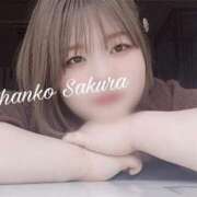 ヒメ日記 2025/12/18 15:15 投稿 さくら 京都祇園・南インターちゃんこ