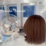 ヒメ日記 2025/12/23 07:01 投稿 さくら 京都祇園・南インターちゃんこ