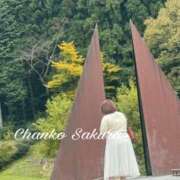 ヒメ日記 2025/12/24 20:30 投稿 さくら 京都祇園・南インターちゃんこ