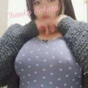 ヒメ日記 2025/12/26 15:01 投稿 さくら 京都祇園・南インターちゃんこ