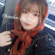 ヒメ日記 2025/12/29 22:04 投稿 さくら 京都祇園・南インターちゃんこ