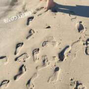 ヒメ日記 2025/12/31 15:15 投稿 さくら 京都祇園・南インターちゃんこ