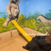 ヒメ日記 2026/01/08 07:01 投稿 さくら 京都祇園・南インターちゃんこ