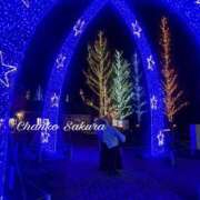 ヒメ日記 2026/01/12 11:01 投稿 さくら 京都祇園・南インターちゃんこ