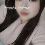 ヒメ日記 2026/01/15 22:11 投稿 さくら 京都祇園・南インターちゃんこ