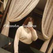 ヒメ日記 2026/01/19 16:59 投稿 さくら 京都祇園・南インターちゃんこ