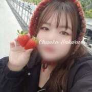 ヒメ日記 2026/01/22 11:30 投稿 さくら 京都祇園・南インターちゃんこ