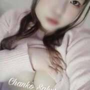 ヒメ日記 2026/01/24 17:01 投稿 さくら 京都祇園・南インターちゃんこ