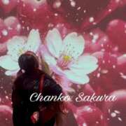 ヒメ日記 2026/01/27 07:15 投稿 さくら 京都祇園・南インターちゃんこ