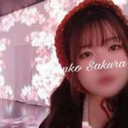 ヒメ日記 2026/01/27 11:30 投稿 さくら 京都祇園・南インターちゃんこ