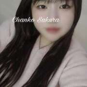 ヒメ日記 2026/02/01 15:15 投稿 さくら 京都祇園・南インターちゃんこ