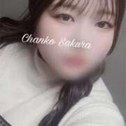 ヒメ日記 2026/02/03 14:30 投稿 さくら 京都祇園・南インターちゃんこ