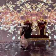 ヒメ日記 2026/02/05 07:01 投稿 さくら 京都祇園・南インターちゃんこ