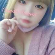 ヒメ日記 2026/02/05 14:00 投稿 さくら 京都祇園・南インターちゃんこ