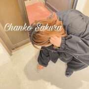 ヒメ日記 2026/02/11 13:30 投稿 さくら 京都祇園・南インターちゃんこ