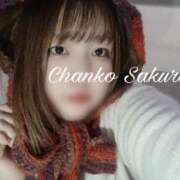 ヒメ日記 2026/02/12 21:03 投稿 さくら 京都祇園・南インターちゃんこ