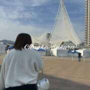 ヒメ日記 2026/02/13 07:11 投稿 さくら 京都祇園・南インターちゃんこ