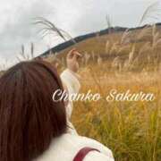 ヒメ日記 2026/02/13 13:01 投稿 さくら 京都祇園・南インターちゃんこ