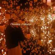 ヒメ日記 2026/02/23 07:02 投稿 さくら 京都祇園・南インターちゃんこ