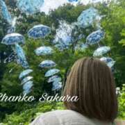 ヒメ日記 2026/02/23 10:15 投稿 さくら 京都祇園・南インターちゃんこ