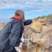 ヒメ日記 2026/02/24 07:14 投稿 さくら 京都祇園・南インターちゃんこ