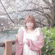 ヒメ日記 2026/02/24 13:30 投稿 さくら 京都祇園・南インターちゃんこ