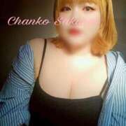 ヒメ日記 2026/02/26 19:47 投稿 さくら 京都祇園・南インターちゃんこ