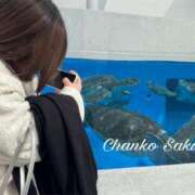 ヒメ日記 2026/02/27 07:01 投稿 さくら 京都祇園・南インターちゃんこ