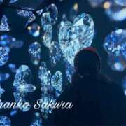 ヒメ日記 2026/02/28 07:55 投稿 さくら 京都祇園・南インターちゃんこ