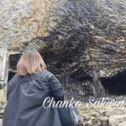 さくら 🌸＼YDK／🌸 京都祇園・南インターちゃんこ