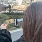 ヒメ日記 2026/03/06 15:29 投稿 さくら 京都祇園・南インターちゃんこ