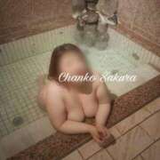 ヒメ日記 2026/03/06 19:21 投稿 さくら 京都祇園・南インターちゃんこ