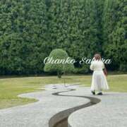 ヒメ日記 2026/03/06 22:12 投稿 さくら 京都祇園・南インターちゃんこ