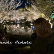 ヒメ日記 2026/03/08 07:01 投稿 さくら 京都祇園・南インターちゃんこ