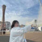 ヒメ日記 2026/03/08 10:15 投稿 さくら 京都祇園・南インターちゃんこ