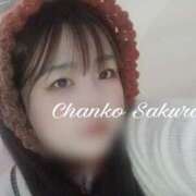 ヒメ日記 2026/03/08 13:00 投稿 さくら 京都祇園・南インターちゃんこ