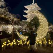 ヒメ日記 2026/03/13 14:15 投稿 さくら 京都祇園・南インターちゃんこ