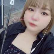 ヒメ日記 2026/03/14 07:01 投稿 さくら 京都祇園・南インターちゃんこ