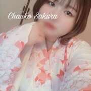 ヒメ日記 2026/03/14 16:00 投稿 さくら 京都祇園・南インターちゃんこ