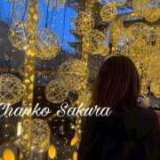 ヒメ日記 2026/03/15 16:24 投稿 さくら 京都祇園・南インターちゃんこ