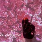 ヒメ日記 2026/03/16 17:05 投稿 さくら 京都祇園・南インターちゃんこ