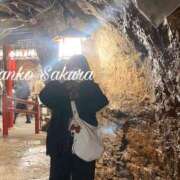 ヒメ日記 2026/03/17 10:49 投稿 さくら 京都祇園・南インターちゃんこ