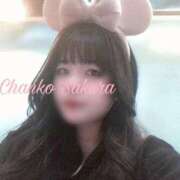 ヒメ日記 2026/03/24 10:15 投稿 さくら 京都祇園・南インターちゃんこ