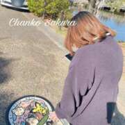 ヒメ日記 2026/03/24 17:54 投稿 さくら 京都祇園・南インターちゃんこ