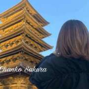 ヒメ日記 2026/03/25 16:38 投稿 さくら 京都祇園・南インターちゃんこ