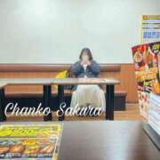 ヒメ日記 2026/03/26 13:30 投稿 さくら 京都祇園・南インターちゃんこ