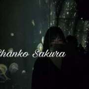 ヒメ日記 2026/03/26 23:43 投稿 さくら 京都祇園・南インターちゃんこ