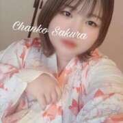 ヒメ日記 2026/03/27 17:08 投稿 さくら 京都祇園・南インターちゃんこ